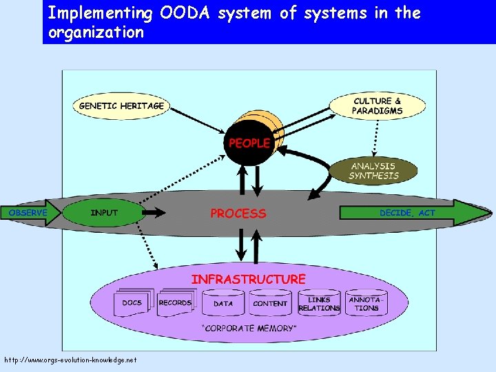 Implementing OODA system of systems in the organization http: //www. orgs-evolution-knowledge. net 