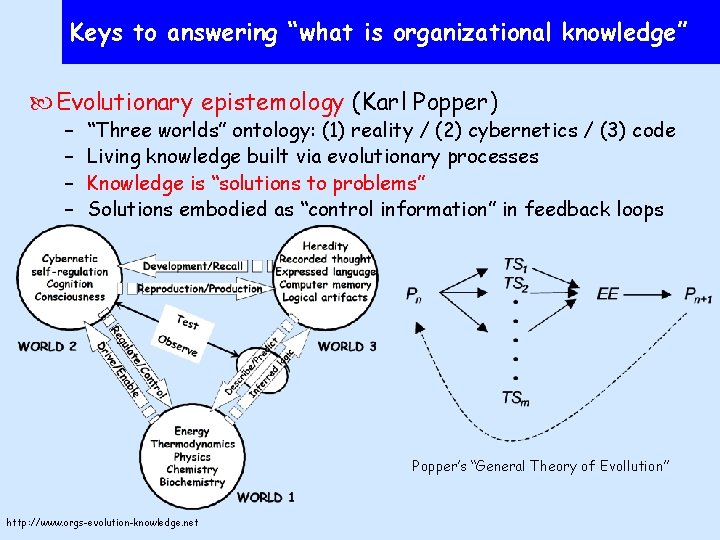 Keys to answering “what is organizational knowledge” Evolutionary epistemology (Karl Popper) – – “Three