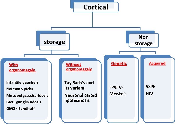 Cortical Non storage With organomegaly Without organomegaly Infantile gauchers Neimann picks Tay Sach’s and