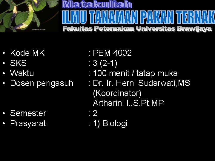  • • Kode MK SKS Waktu Dosen pengasuh • Semester • Prasyarat :