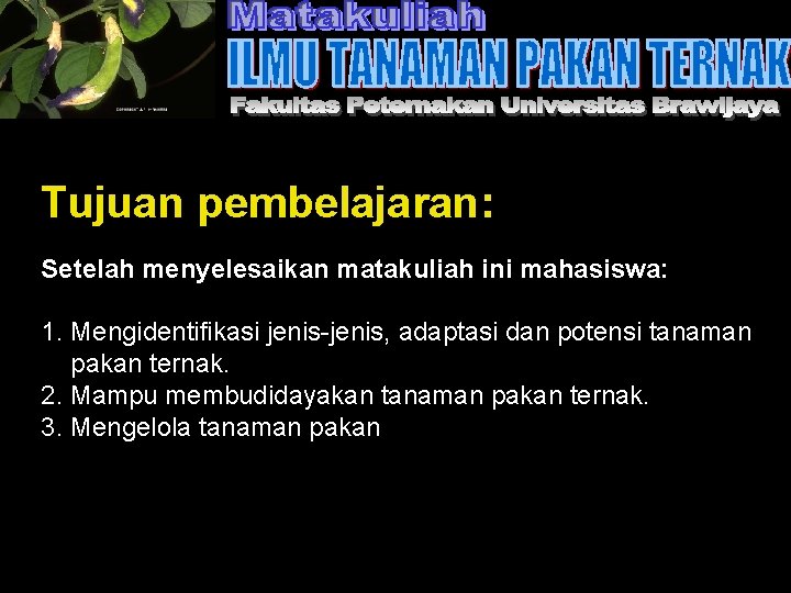 Tujuan pembelajaran: Setelah menyelesaikan matakuliah ini mahasiswa: 1. Mengidentifikasi jenis-jenis, adaptasi dan potensi tanaman