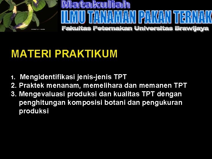 MATERI PRAKTIKUM Mengidentifikasi jenis-jenis TPT 2. Praktek menanam, memelihara dan memanen TPT 3. Mengevaluasi