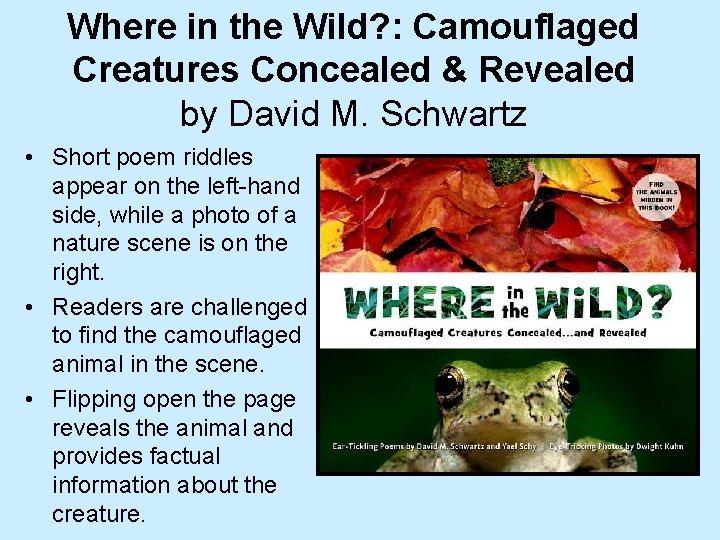 Where in the Wild? : Camouflaged Creatures Concealed & Revealed by David M. Schwartz