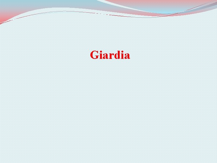 Giardia 