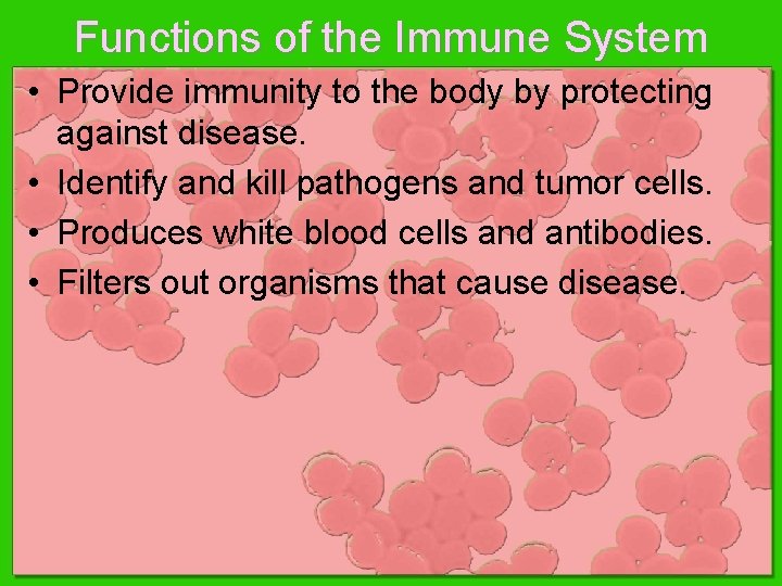 Functions of the Immune System • Provide immunity to the body by protecting against Functions of the Immune System • Provide immunity to the body by protecting against