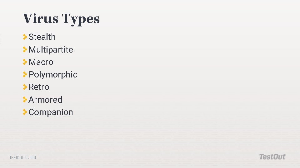 Virus Types Stealth Multipartite Macro Polymorphic Retro Armored Companion TESTOUT PC PRO Virus Types Stealth Multipartite Macro Polymorphic Retro Armored Companion TESTOUT PC PRO