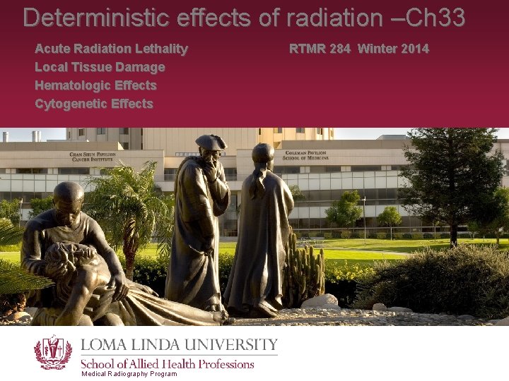 Deterministic effects of radiation –Ch 33 Acute Radiation Lethality Local Tissue Damage Hematologic Effects Deterministic effects of radiation –Ch 33 Acute Radiation Lethality Local Tissue Damage Hematologic Effects