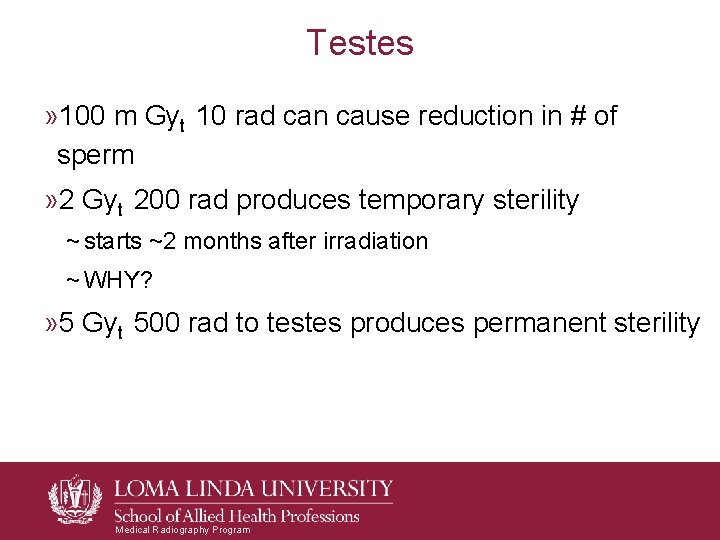 Testes » 100 m Gyt 10 rad can cause reduction in # of sperm Testes » 100 m Gyt 10 rad can cause reduction in # of sperm