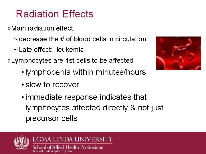 Radiation Effects » Main radiation effect: ~ decrease the # of blood cells in Radiation Effects » Main radiation effect: ~ decrease the # of blood cells in