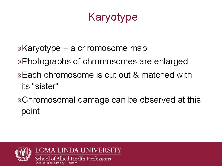 Karyotype » Karyotype = a chromosome map » Photographs of chromosomes are enlarged » Karyotype » Karyotype = a chromosome map » Photographs of chromosomes are enlarged »