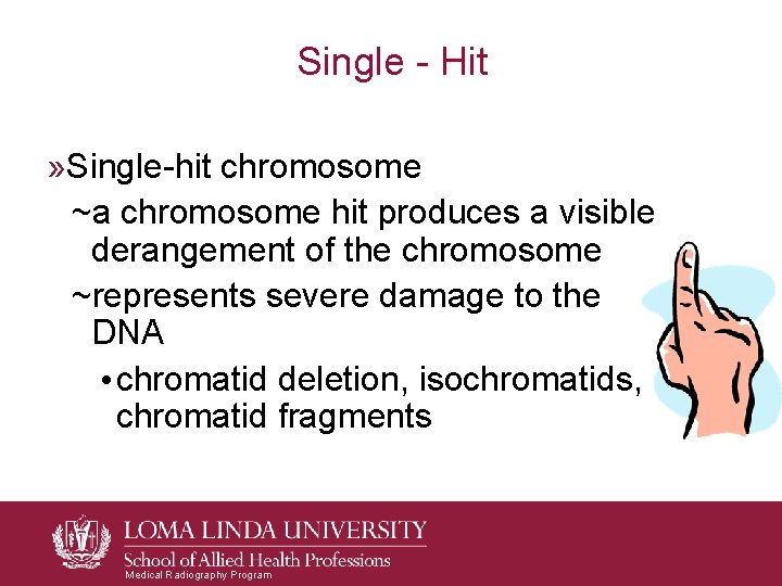 Single - Hit » Single-hit chromosome ~a chromosome hit produces a visible derangement of Single - Hit » Single-hit chromosome ~a chromosome hit produces a visible derangement of