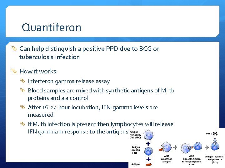 BCG and Quantiferon Microbiology Lab Respiratory February 2013