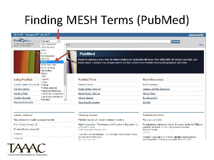 Finding MESH Terms (Pub. Med) 