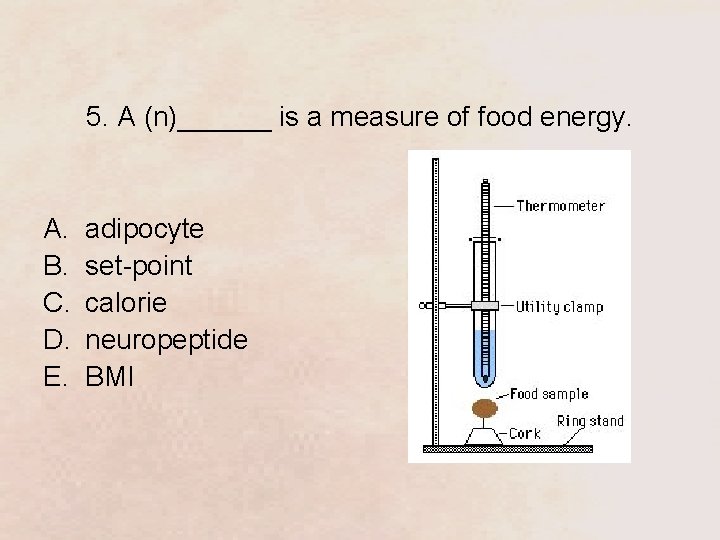 5. A (n)______ is a measure of food energy. A. B. C. D. E.