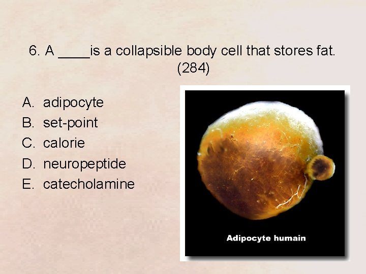 6. A ____is a collapsible body cell that stores fat. (284) A. B. C.