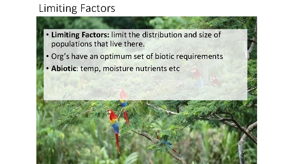 Limiting Factors • Limiting Factors: limit the distribution and size of populations that live