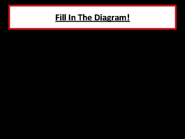 Fill In The Diagram! Fill In The Diagram!