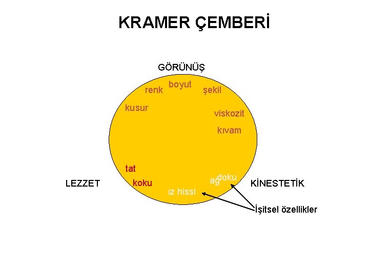 KRAMER ÇEMBERİ GÖRÜNÜŞ renk boyut kusur şekil viskozit kıvam tat LEZZET koku ağdoku ız