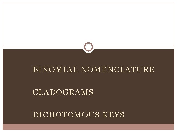 BINOMIAL NOMENCLATURE CLADOGRAMS DICHOTOMOUS KEYS 