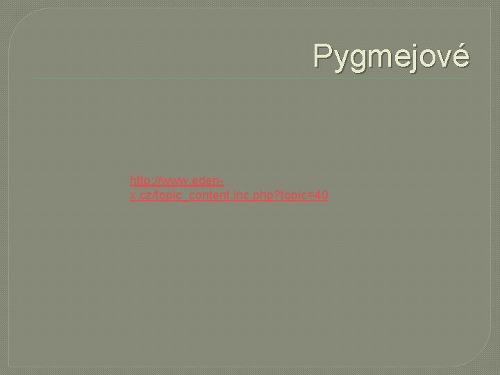 Pygmejové http: //www. edenx. cz/topic_content. inc. php? topic=40 