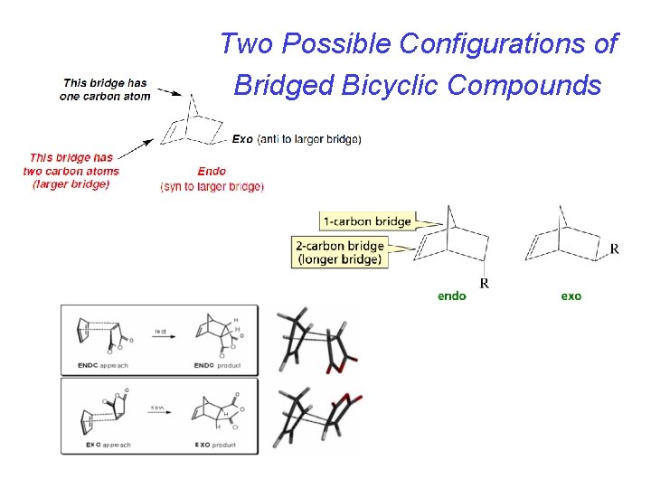 Two Possible Configurations of Bridged Bicyclic Compounds 