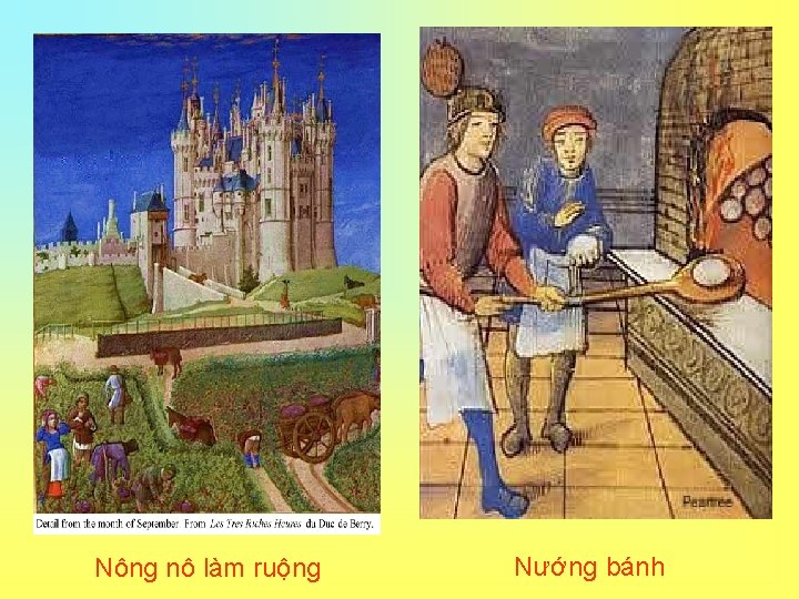 Nông nô làm ruộng Nướng bánh 