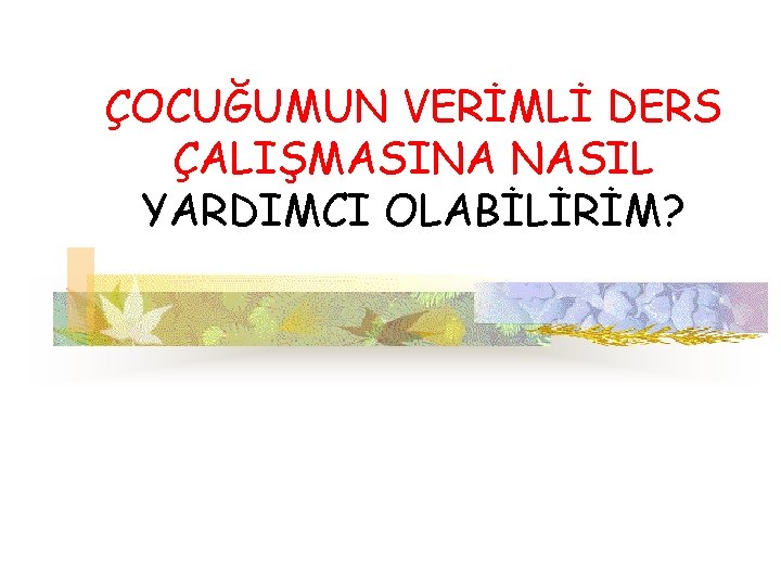 ÇOCUĞUMUN VERİMLİ DERS ÇALIŞMASINA NASIL YARDIMCI OLABİLİRİM? 