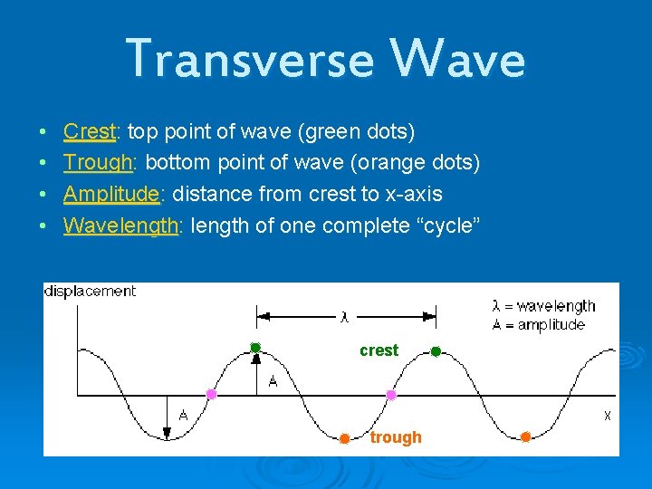 Transverse Wave • • Crest: top point of wave (green dots) Trough: bottom point