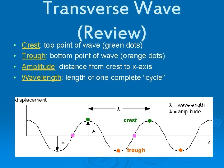  • • Transverse Wave (Review) Crest: top point of wave (green dots) Trough: