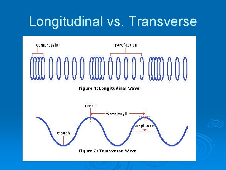 Longitudinal vs. Transverse 
