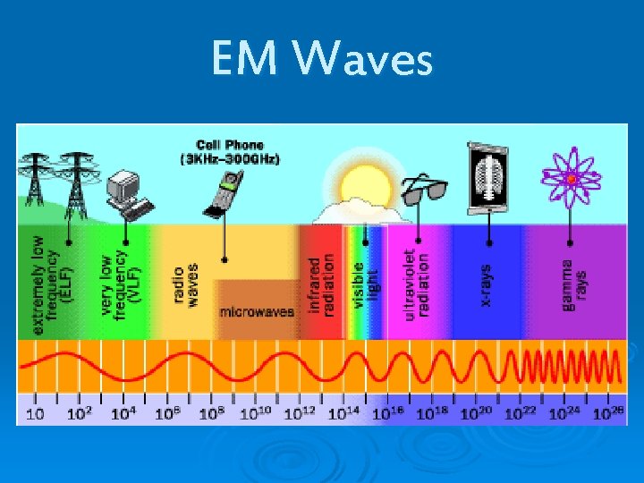 EM Waves 