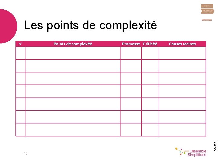 Les points de complexité Points de complexité 43 Promesse Criticité Causes racines Acemis n°