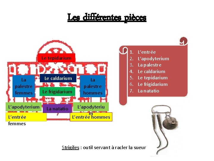 Les différentes pièces Le tepidarium Le caldarium La palestre femmes Le frigidarium L’apodyterium La