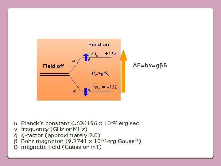 ∆E=hv=gβB h Planck’s constant 6. 626196 x 10 -27 erg. sec n g β