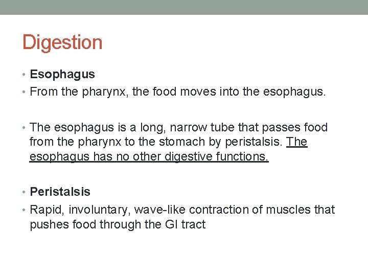 Digestion • Esophagus • From the pharynx, the food moves into the esophagus. •