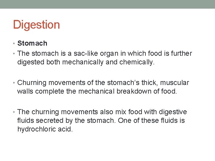 Digestion • Stomach • The stomach is a sac-like organ in which food is