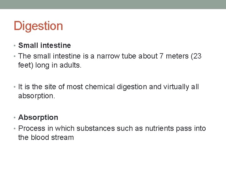 Digestion • Small intestine • The small intestine is a narrow tube about 7
