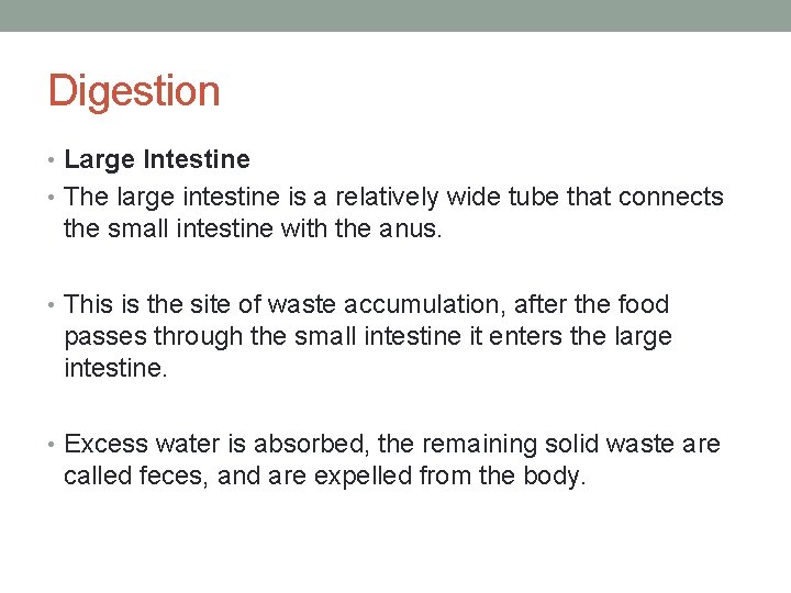 Digestion • Large Intestine • The large intestine is a relatively wide tube that