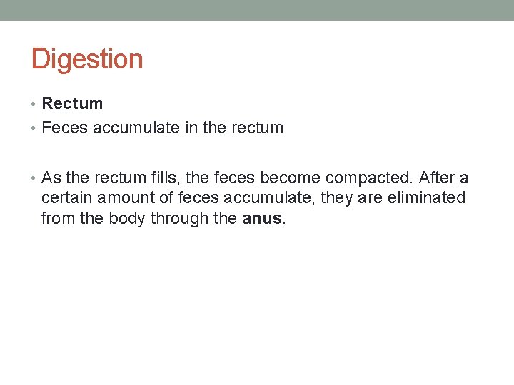 Digestion • Rectum • Feces accumulate in the rectum • As the rectum fills,