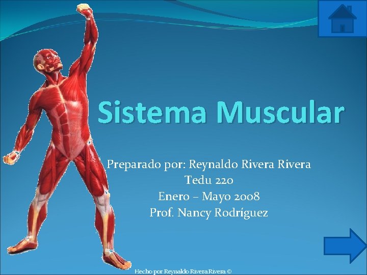 Sistema Muscular Preparado por: Reynaldo Rivera Tedu 220 Enero – Mayo 2008 Prof. Nancy