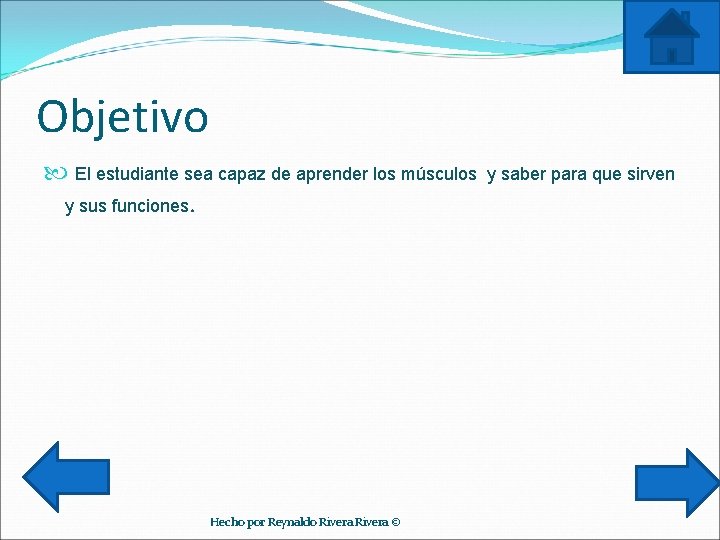 Objetivo El estudiante sea capaz de aprender los músculos y sus funciones. Hecho por