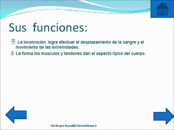 Sus funciones: 훗 La locomoción logra efectuar el desplazamiento de la sangre y el