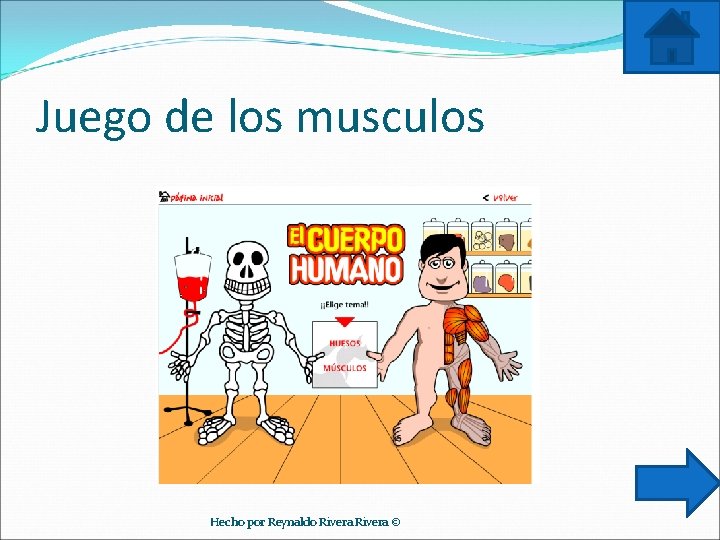 Juego de los musculos Hecho por Reynaldo Rivera © 