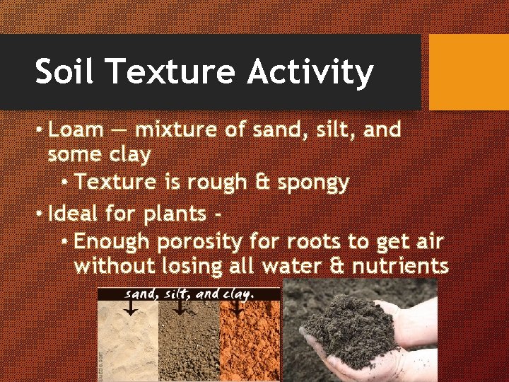 Soil Texture Activity • Loam — mixture of sand, silt, and some clay •