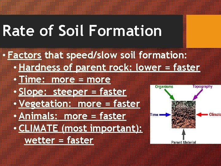 Rate of Soil Formation • Factors that speed/slow soil formation: • Hardness of parent