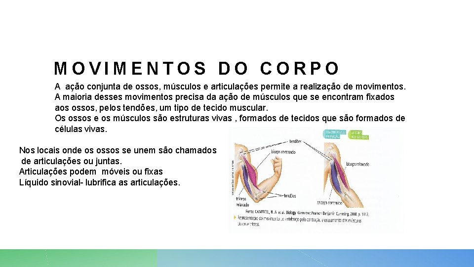 MOVIMENTOS DO CORPO A ação conjunta de ossos, músculos e articulações permite a realização