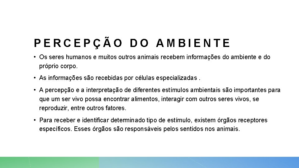 PERCEPÇÃO DO AMBIENTE • Os seres humanos e muitos outros animais recebem informações do