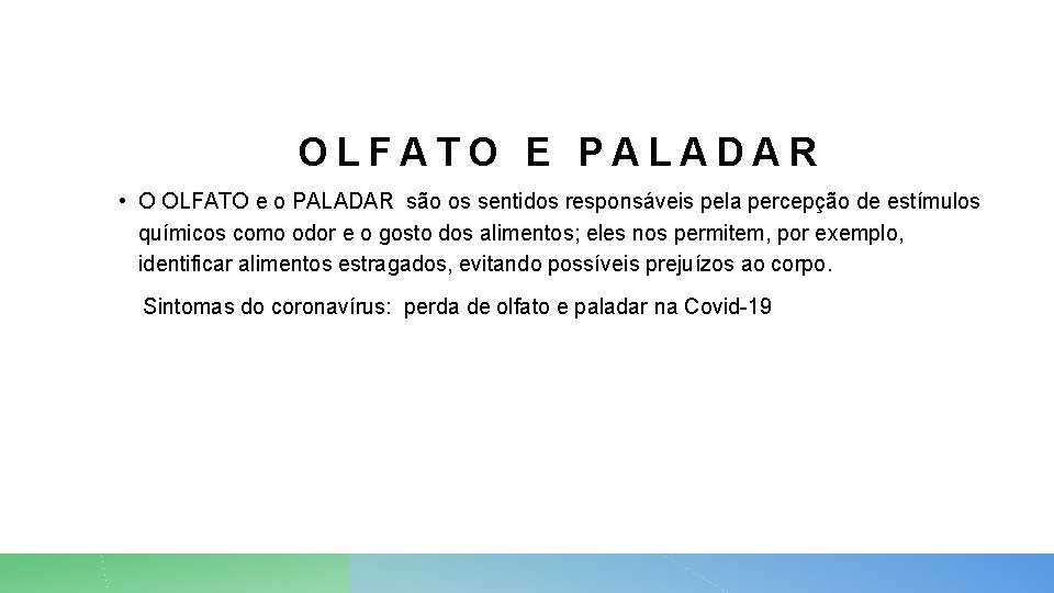 OLFATO E PALADAR • O OLFATO e o PALADAR são os sentidos responsáveis pela