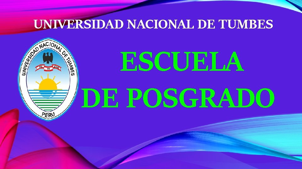 UNIVERSIDAD NACIONAL DE TUMBES ESCUELA DE POSGRADO 
