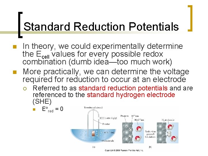 Standard Reduction Potentials n n In theory, we could experimentally determine the Ecell values